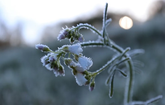 Atlanta Wakes To Frost, Then Flips To T-Shirt Weather By Saturday