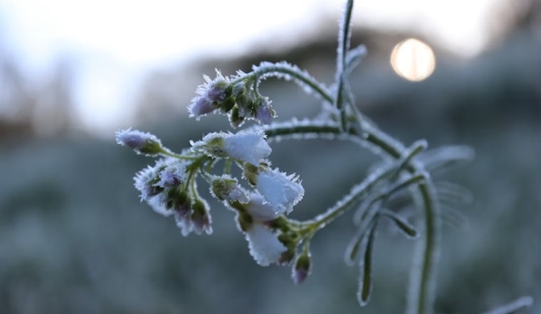 Atlanta Wakes To Frost, Then Flips To T-Shirt Weather By Saturday