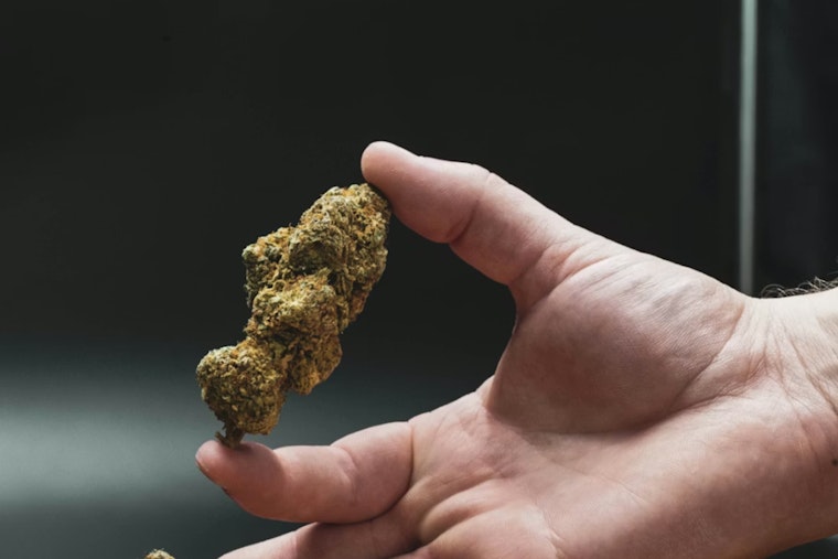 ATV Rollover On Mill Spring Estate: LendingTree CEO Doug Lebda Had Alcohol And THC, Report Finds