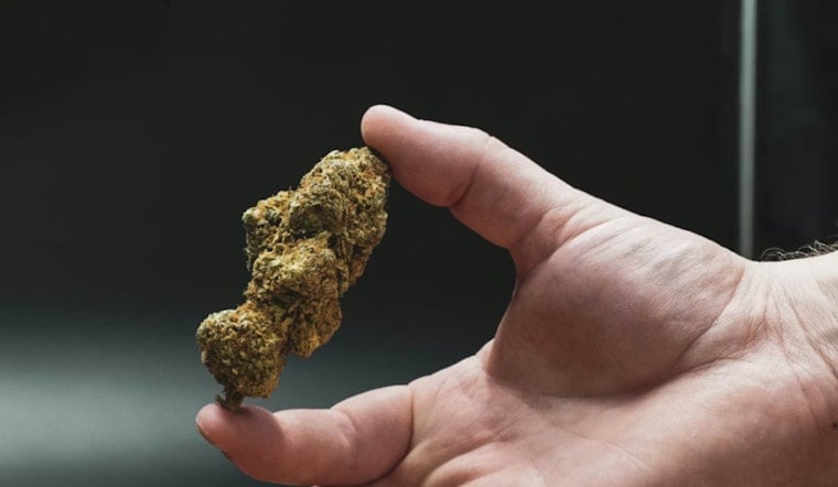 ATV Rollover On Mill Spring Estate: LendingTree CEO Doug Lebda Had Alcohol And THC, Report Finds