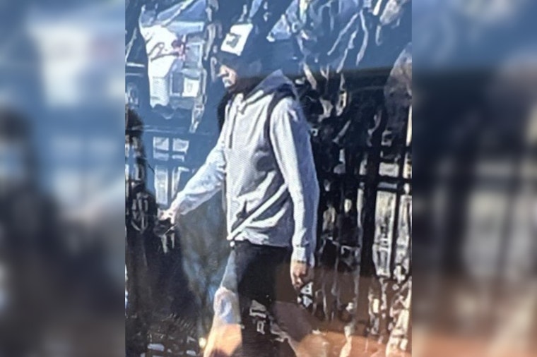 Authorities Seek Person of Interest in Minneapolis Log Attack
