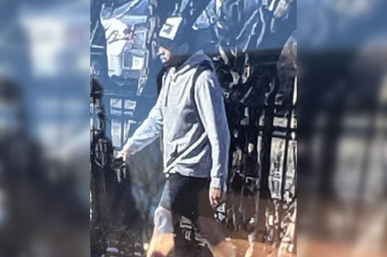 Authorities Seek Person of Interest in Minneapolis Log Attack