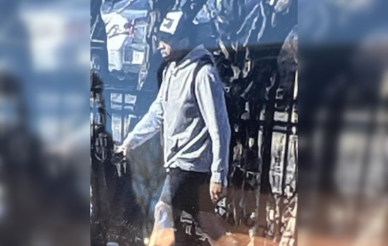 Authorities Seek Person of Interest in Minneapolis Log Attack