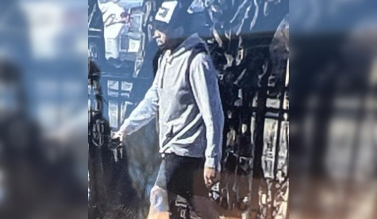 Authorities Seek Person of Interest in Minneapolis Log Attack