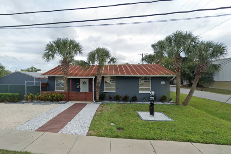 Backyard Puppy Boom Has Tampa Rescue Packed To The Rafters