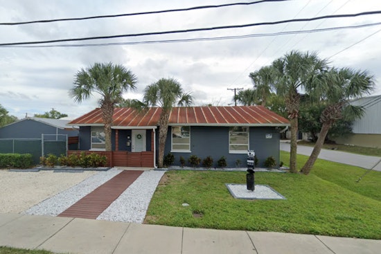 Backyard Puppy Boom Has Tampa Rescue Packed To The Rafters