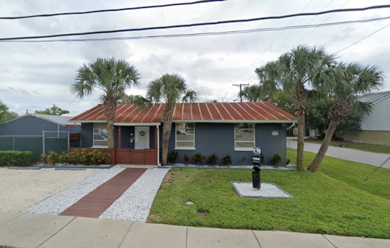 Backyard Puppy Boom Has Tampa Rescue Packed To The Rafters