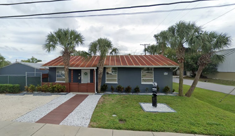 Backyard Puppy Boom Has Tampa Rescue Packed To The Rafters