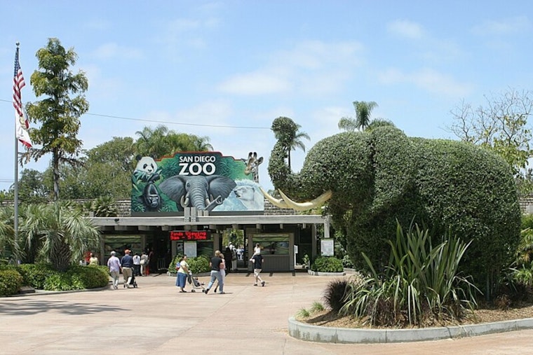 Balboa Park Shake-Up: San Diego Cuts 52-Year Zoo Deal