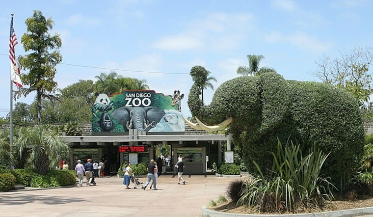 Balboa Park Shake-Up: San Diego Cuts 52-Year Zoo Deal