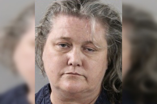 Bartow Showdown: Woman Hit With 8 Felonies After Litter Citation Clash