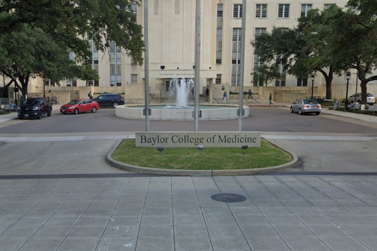 Baylor Tops Houston H-1B Employer List, New Data Shows