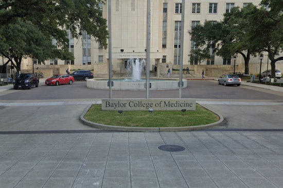 Baylor Tops Houston H-1B Employer List, New Data Shows