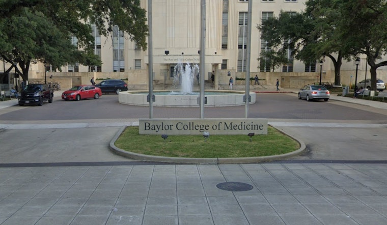 Baylor Tops Houston H-1B Employer List, New Data Shows