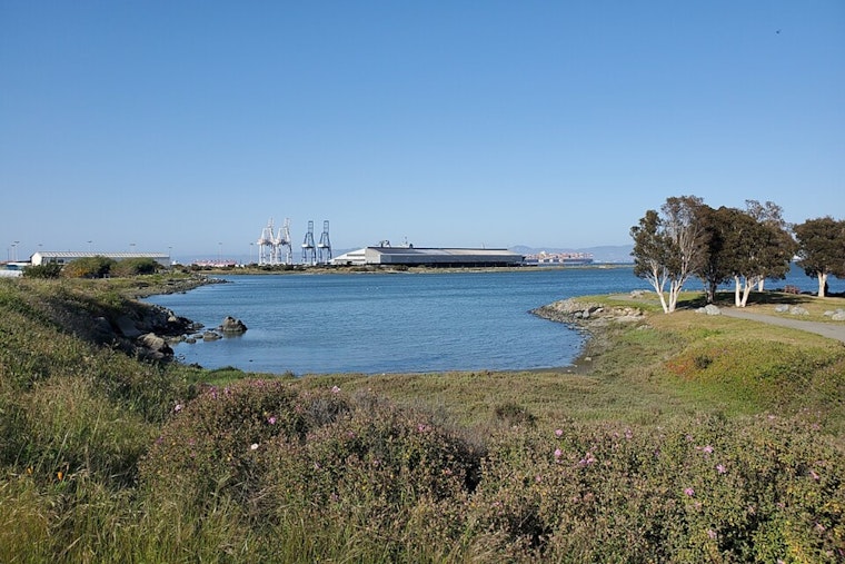 Bayview Finally Gets Its Bay Back With India Basin Waterfront Park