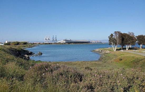 Bayview Finally Gets Its Bay Back With India Basin Waterfront Park