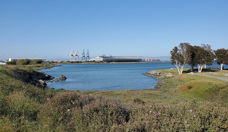 Bayview Finally Gets Its Bay Back With India Basin Waterfront Park