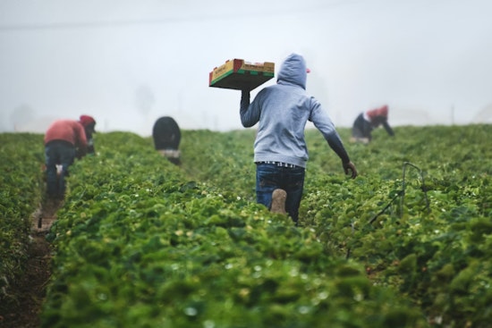 Beacon Hill Pushes Big Farm Bill To Turn Bay State Fields Into Destinations