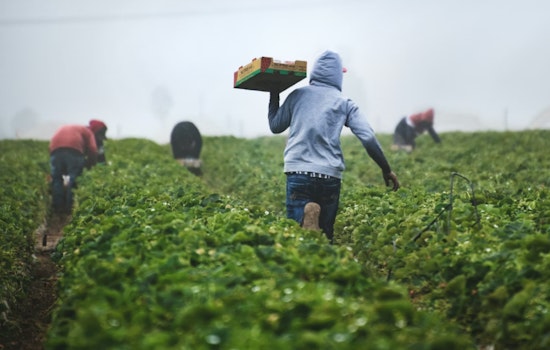 Beacon Hill Pushes Big Farm Bill To Turn Bay State Fields Into Destinations