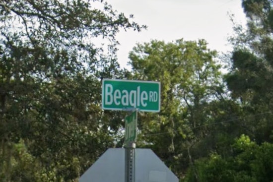 Beagle Road Horror as Hudson Driver Killed and Spring Hill Woman Hurt in High-Speed Crash
