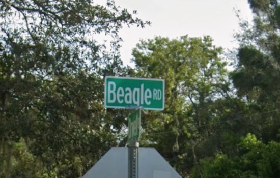 Beagle Road Horror as Hudson Driver Killed and Spring Hill Woman Hurt in High-Speed Crash
