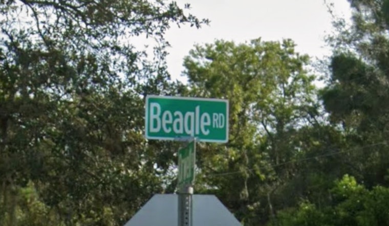 Beagle Road Horror as Hudson Driver Killed and Spring Hill Woman Hurt in High-Speed Crash
