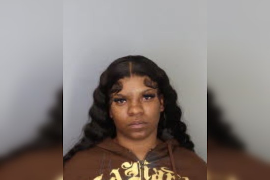 Beale Street Stunner: Second Arrest in Killing of Beloved Flipper “T‑Todd”