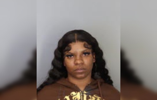 Beale Street Stunner: Second Arrest in Killing of Beloved Flipper “T‑Todd”
