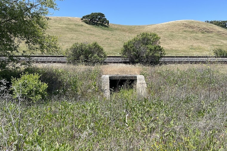 Bechtel Heirs’ Vast South Bay Ranch Turned Into Forever Open Space