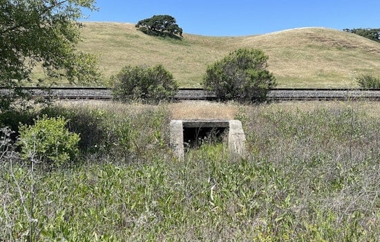 Bechtel Heirs’ Vast South Bay Ranch Turned Into Forever Open Space