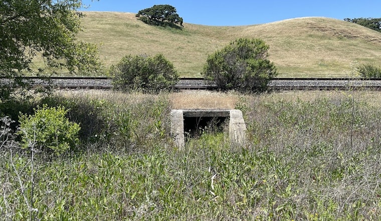 Bechtel Heirs’ Vast South Bay Ranch Turned Into Forever Open Space