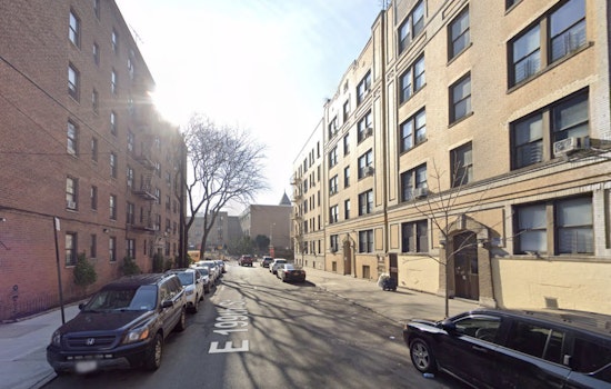 Bedford Park Neighbors Horrified As Dog Plunges From Roof