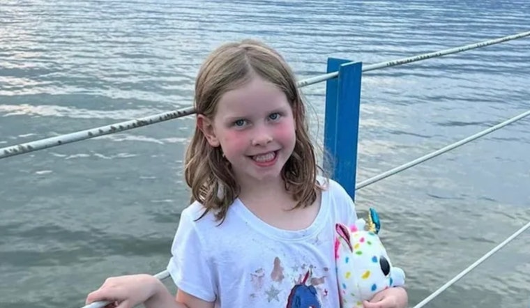 Birthday Turns To Tragedy On Clinton Township Crash Corridor