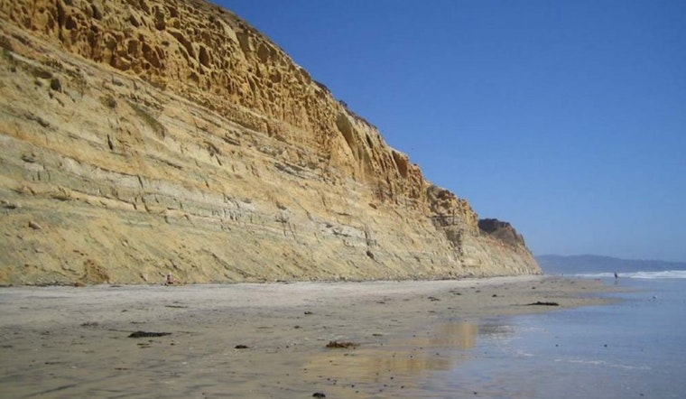 Black's Beach Shock as San Diego Hiker Stumbles on Dead Baby Leopard Sharks