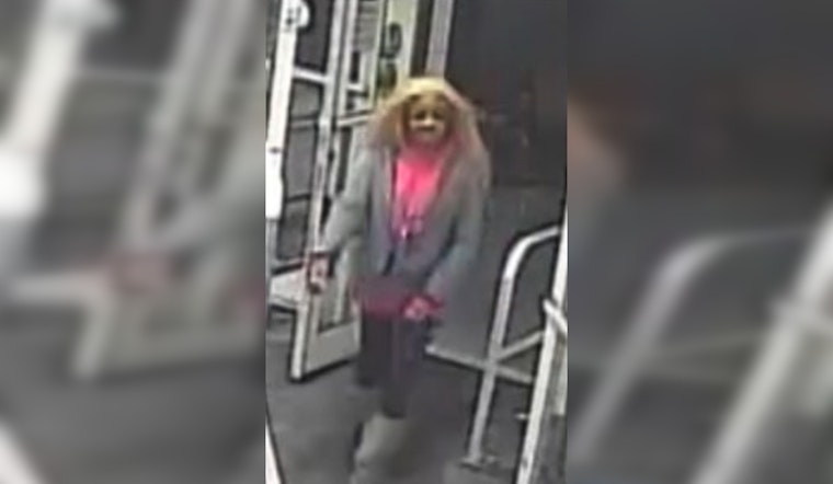 Blonde-Wig Bandit Terrorizes Blue Hill Ave Shop, Cops Say