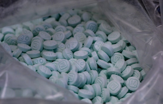 Bloomington Police Seize 13,628 Suspected Fentanyl Pills