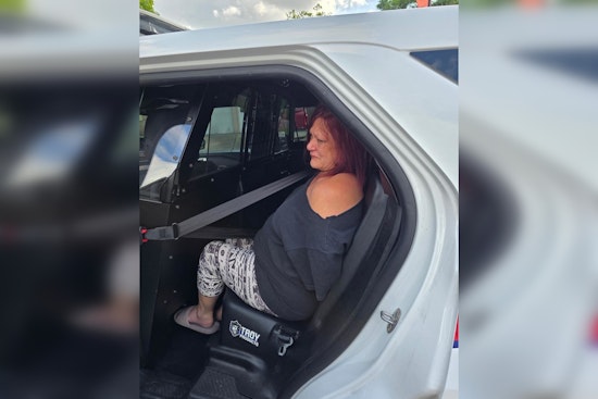 Blue Mist Bust: Precinct 4 Grabs Top 10 Fugitive On Quiet Cul-De-Sac