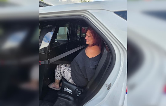 Blue Mist Bust: Precinct 4 Grabs Top 10 Fugitive On Quiet Cul-De-Sac