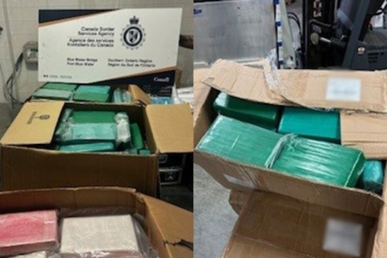 Blue Water Bridge Coke Bust: Border Cops Nab 245 Pounds In Truck Trailer