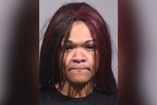 Boardman Driveway Chaos As Woman Allegedly Runs Over Neighbor Twice