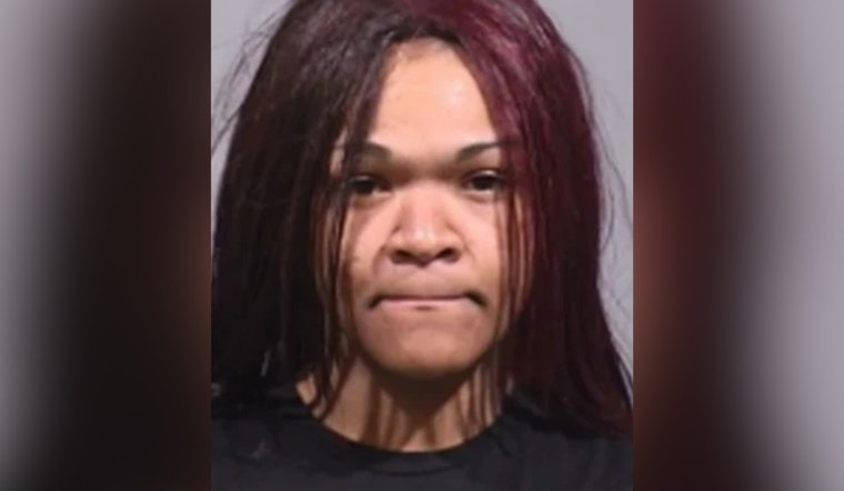 Boardman Driveway Chaos As Woman Allegedly Runs Over Neighbor Twice