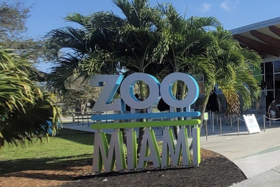 Bomb Scare Chaos Shuts Down Zoo Miami as Local Legend Ron Magill Sounds Off