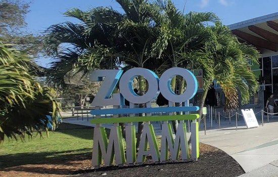 Bomb Scare Chaos Shuts Down Zoo Miami as Local Legend Ron Magill Sounds Off