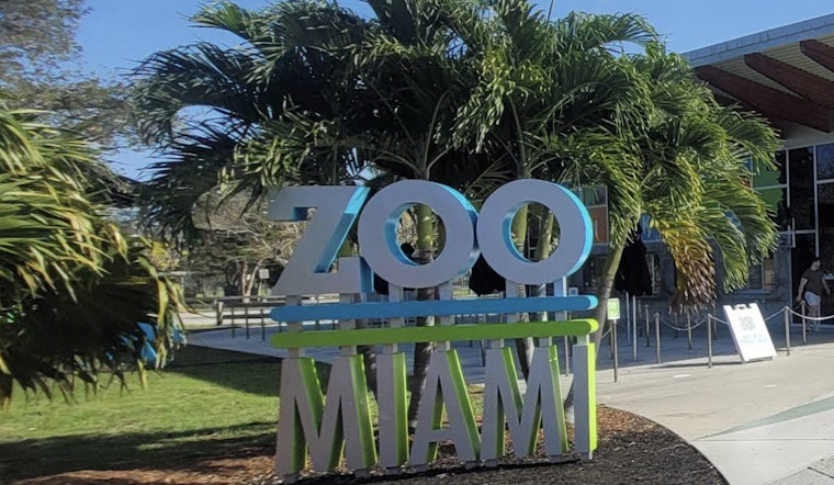 Bomb Scare Chaos Shuts Down Zoo Miami as Local Legend Ron Magill Sounds Off