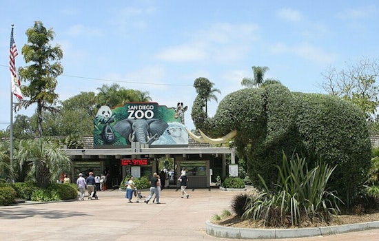 Brain‑Invading Rat Worm Creeps Into San Diego Zoo and Backyards