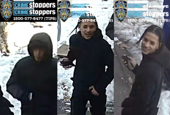 Brazen Daylight Mugging Of Bronx Girl, 12, On Stratford Ave