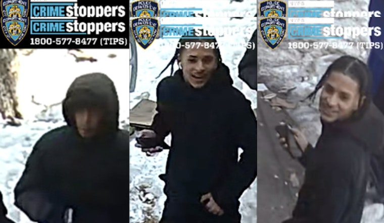 Brazen Daylight Mugging Of Bronx Girl, 12, On Stratford Ave