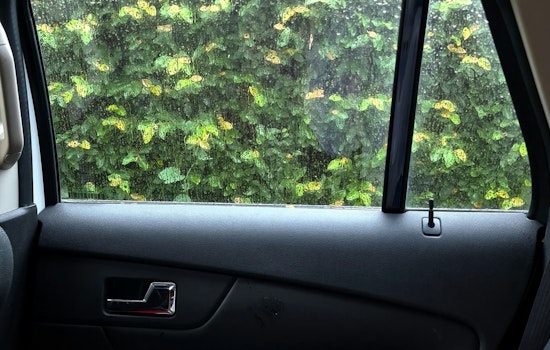 Brazen Door Checkers Troll Pinellas Driveways, Deputies Plead To Lock Your Cars