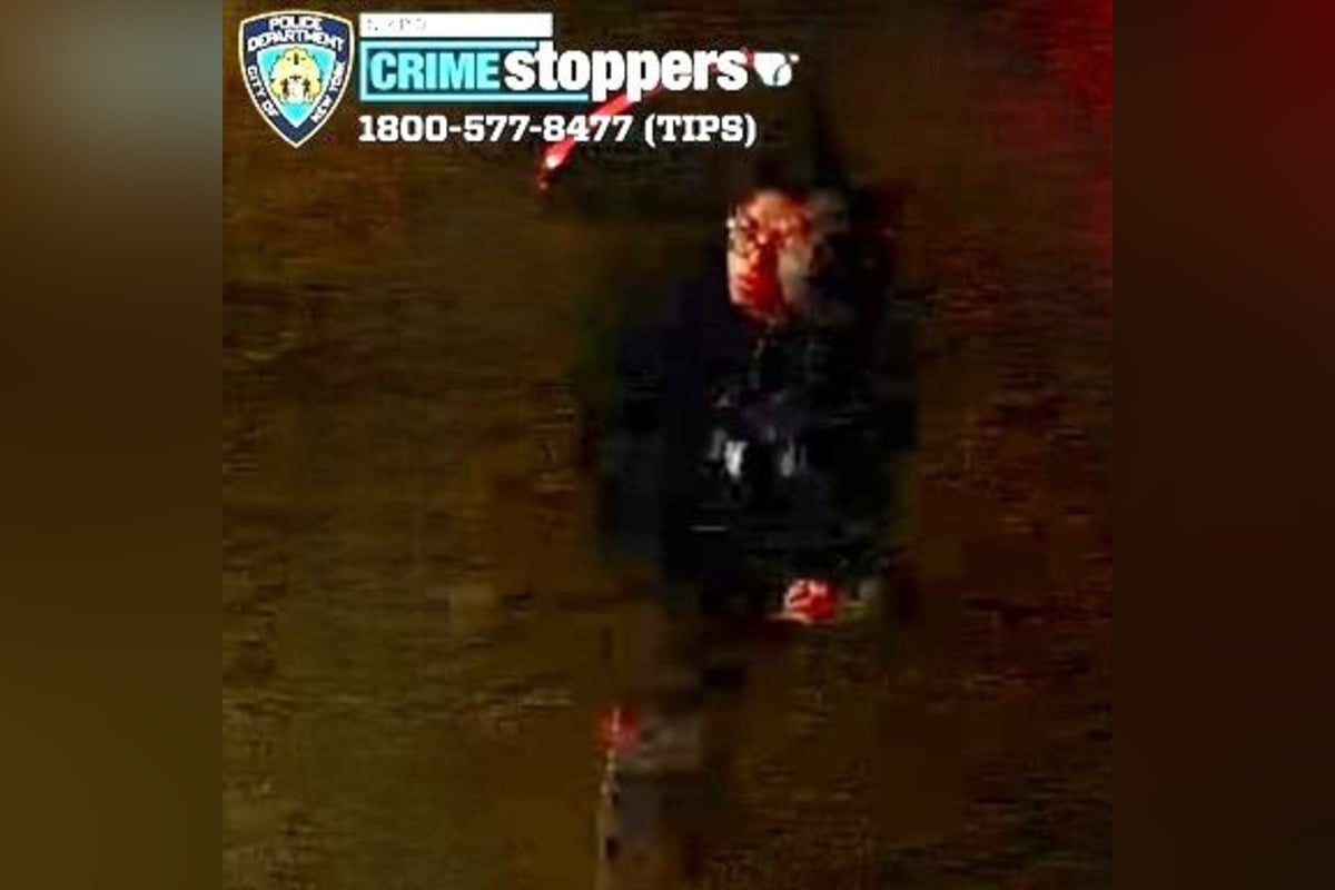 Bronx Police Seek Man After Groping Near Albany Crescent