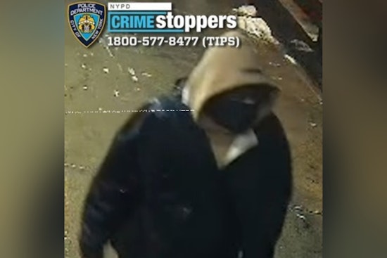 Bronx Creep Hunted After Pair Of Late-Night Gropings, Cops Say